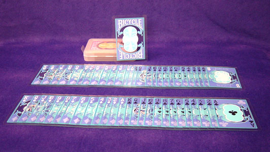 clear bicycle cards